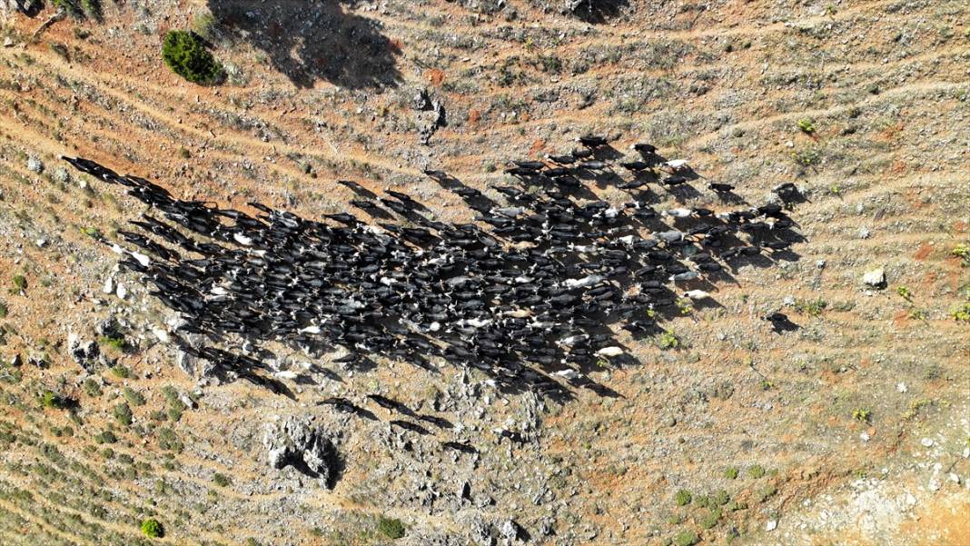 Konya'da kültürlerini yaşatmaya devam ediyorlar 10