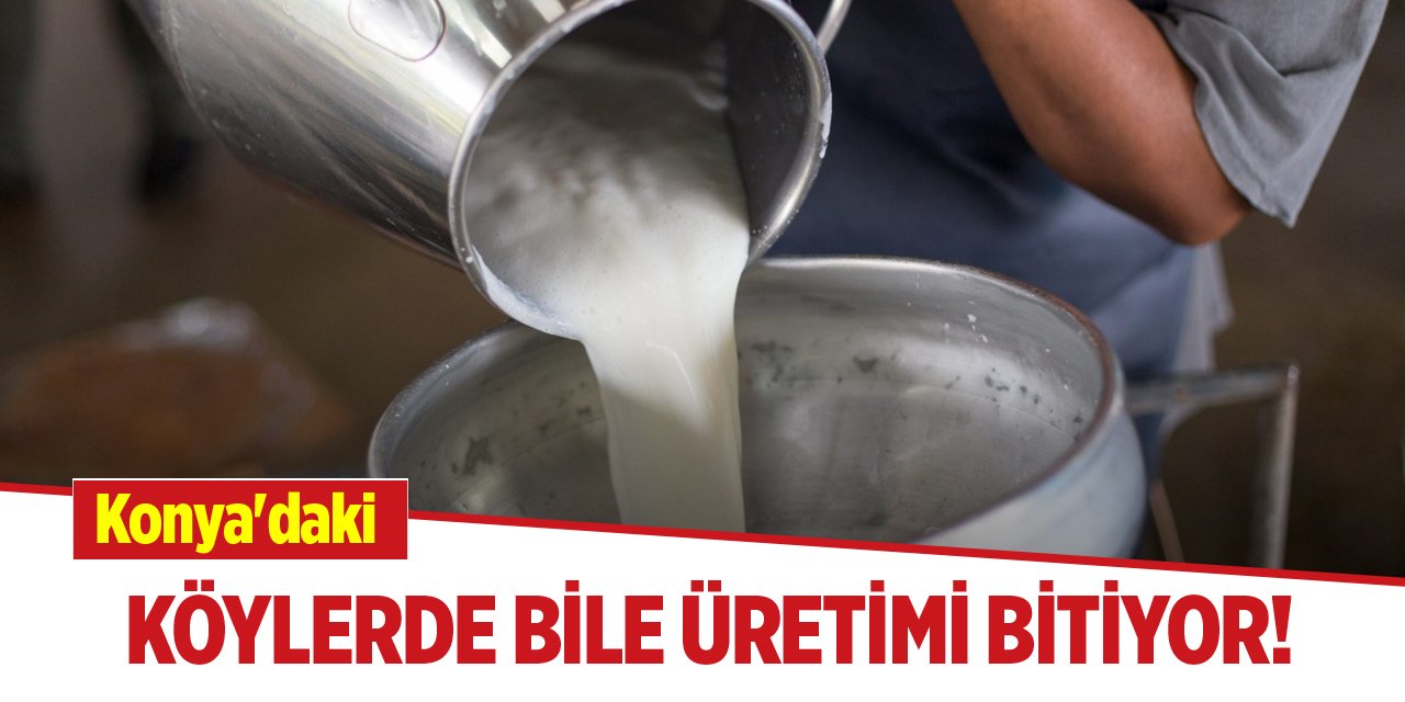 Konya'daki köylerde bile üretimi bitiyor!