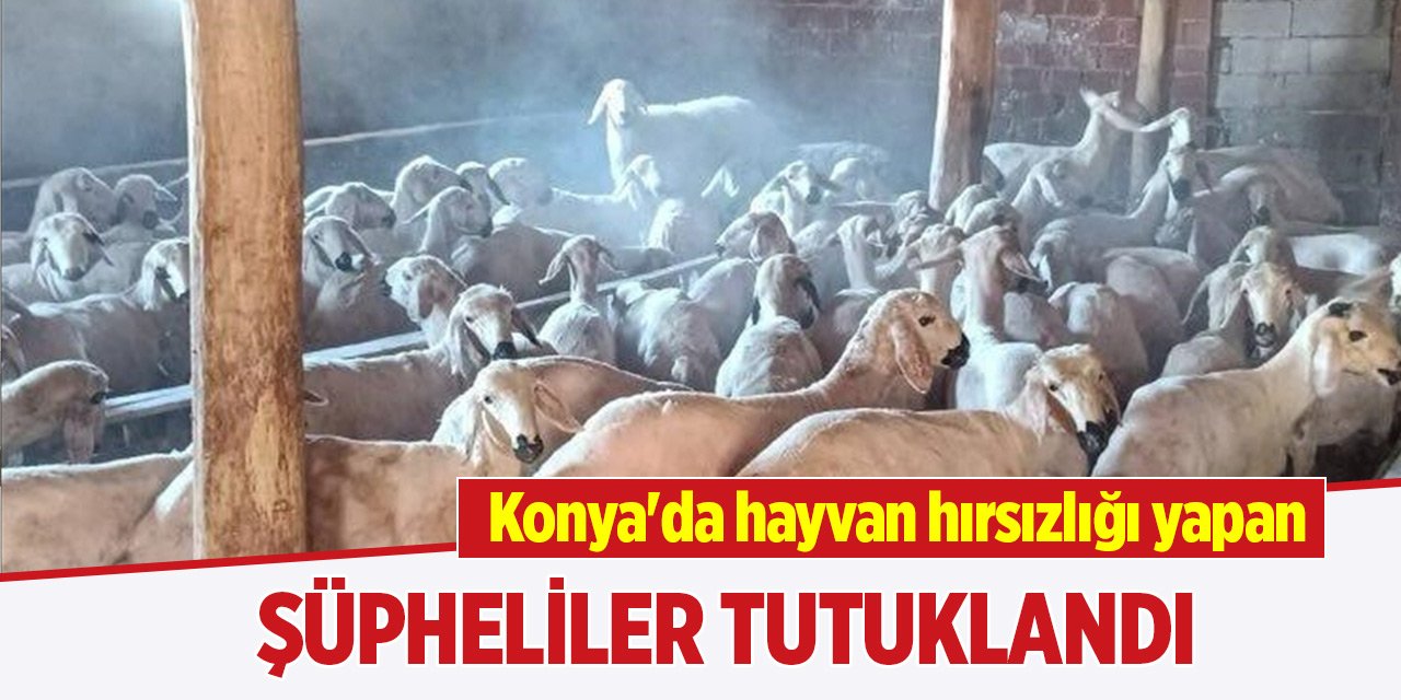 Konya'da hayvan hırsızlığı yapan şüpheliler tutuklandı