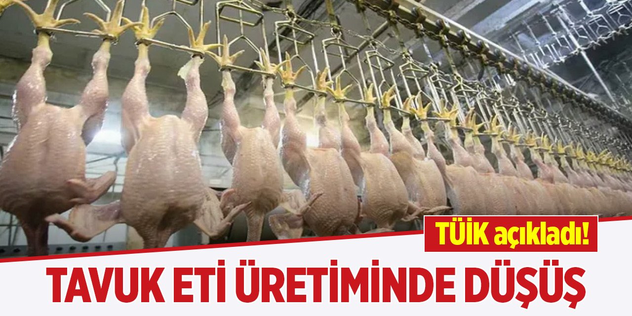 TÜİK açıkladı! Tavuk eti üretiminde düşüş