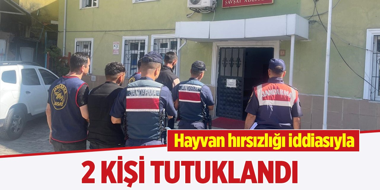 Hayvan hırsızlığı iddiasıyla 2 kişi tutuklandı