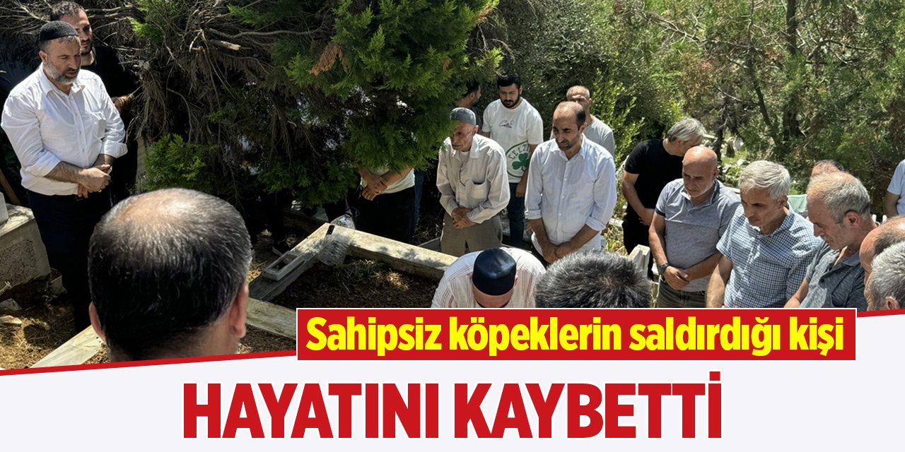 Sahipsiz köpeklerin saldırdığı kişi hayatını kaybetti