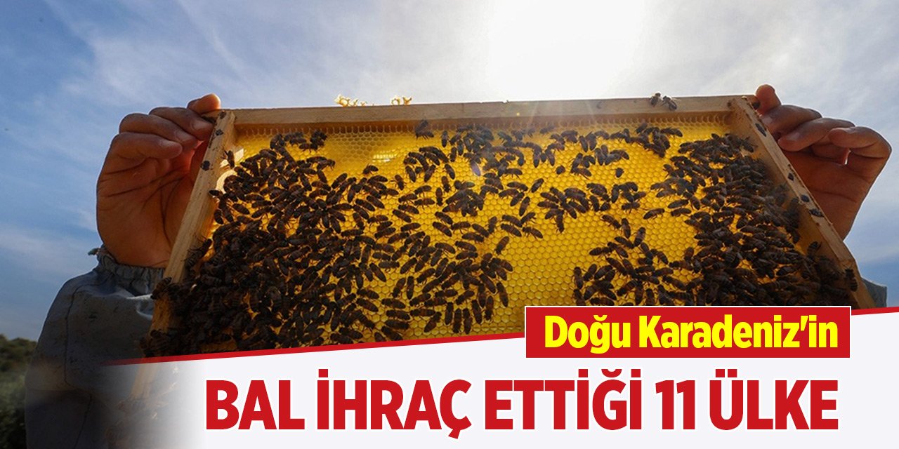 Doğu Karadeniz'in bal ihraç ettiği 11 ülke