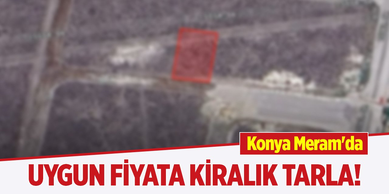 Konya Meram'da uygun fiyata kiralık tarla!