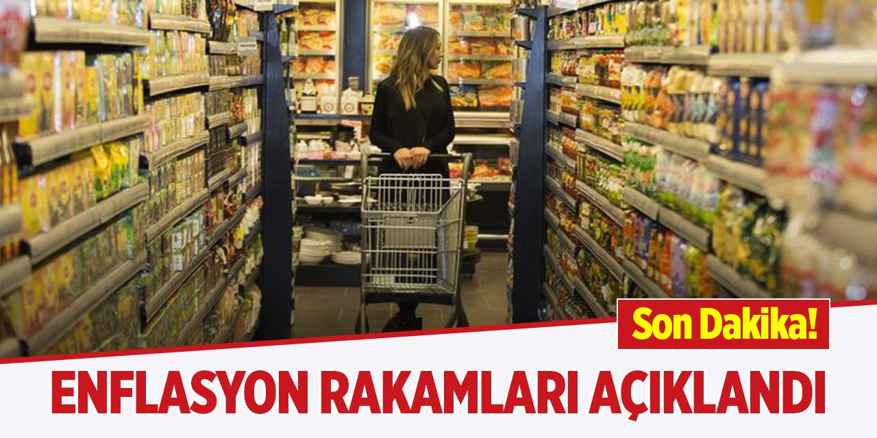 Son Dakika! Ağustos ayı enflasyon rakamları açıklandı