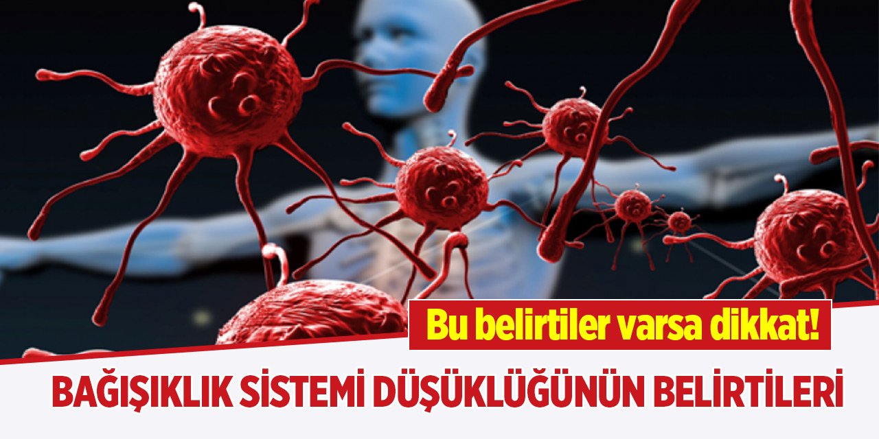 İşte bağışıklık sistemi düşüklüğünün belirtileri