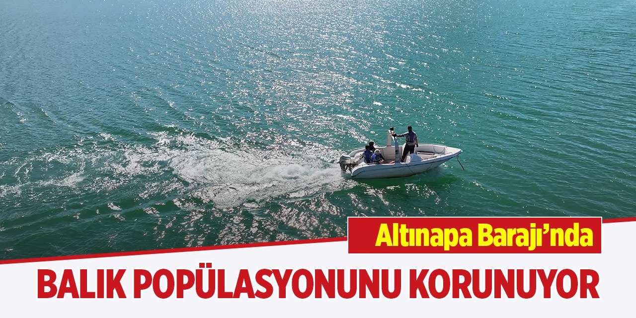 Altınapa Barajı’nda balık popülasyonunu korunuyor