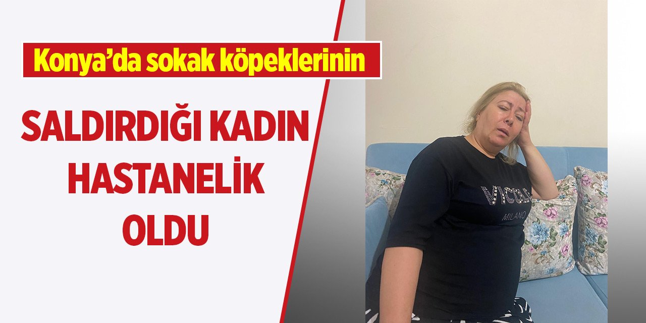 Konya'da sokak köpeklerinin saldırdığı kadın hastanelik oldu