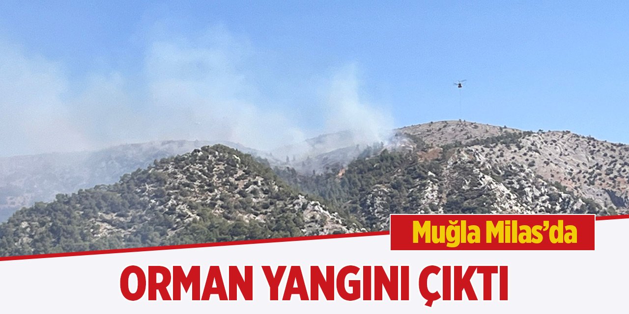 Muğla'nın Milas ilçesinde orman yangını çıktı