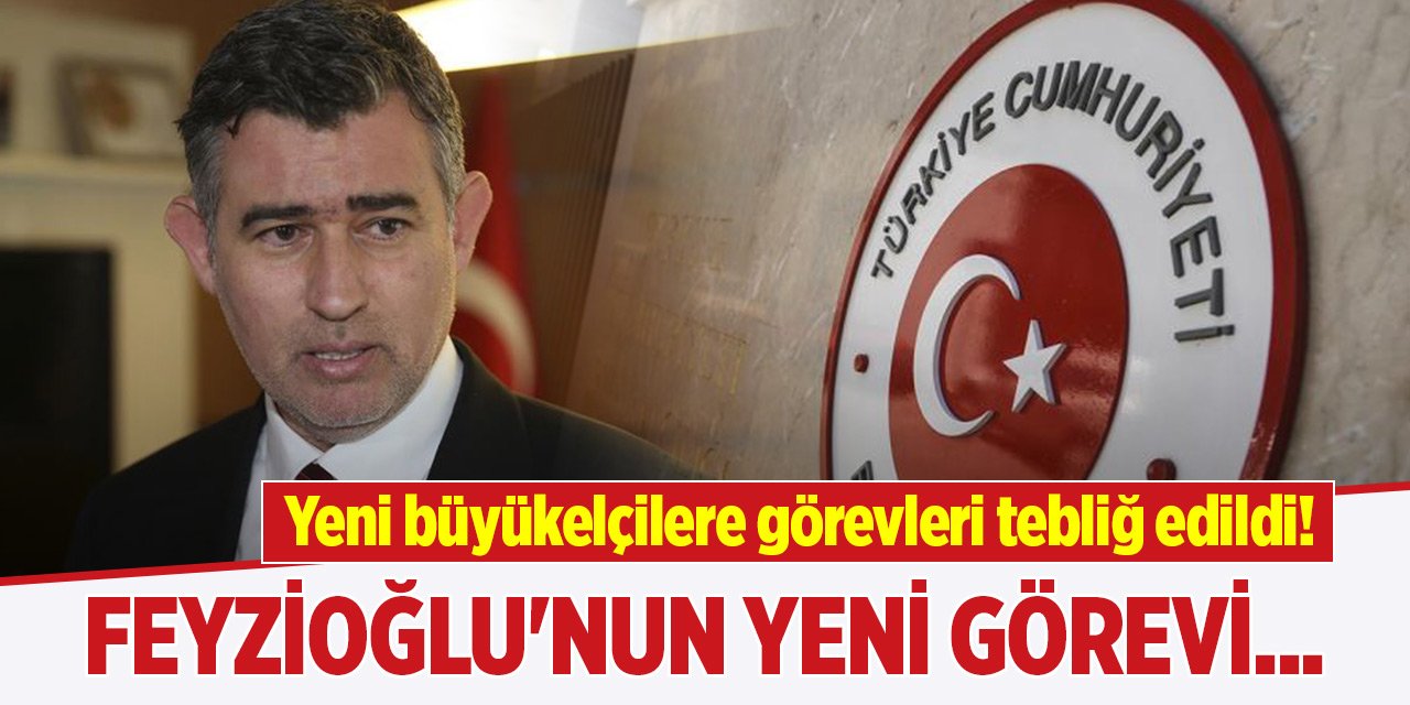 Yeni büyükelçilere görevleri tebliğ edildi! Metin Feyzioğlu'nun yeni görevi...